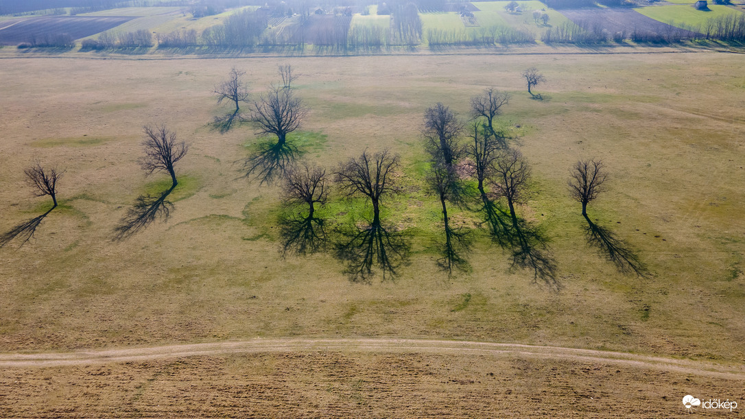 Tavaszi fények árnyékok