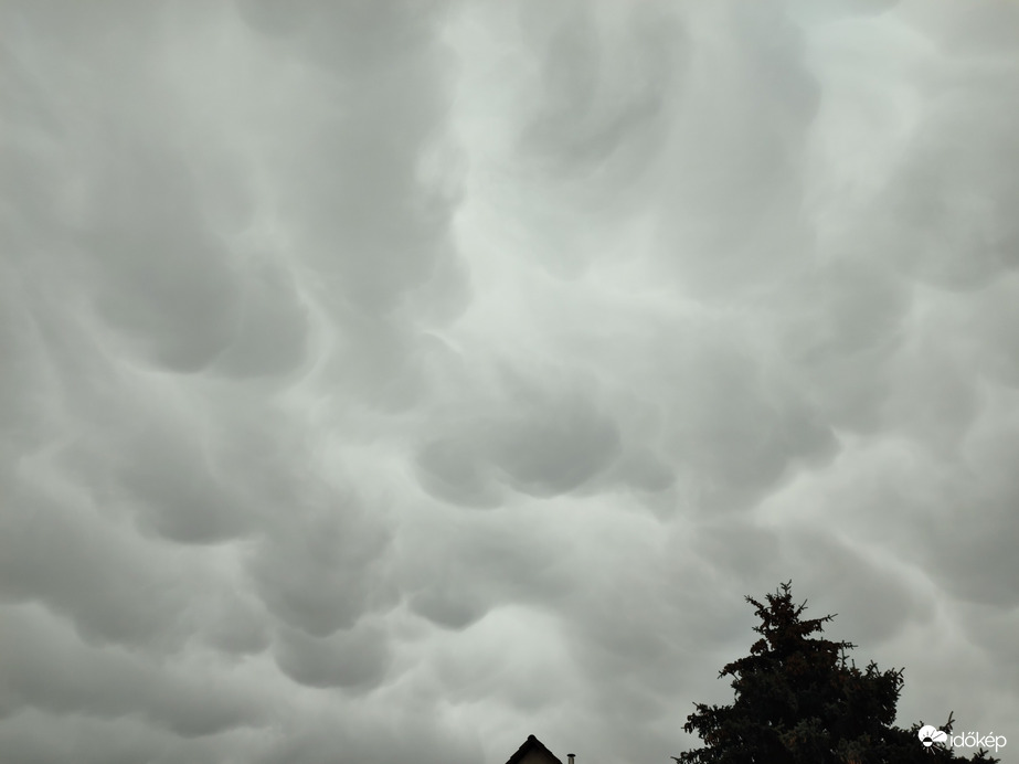 Mammatus