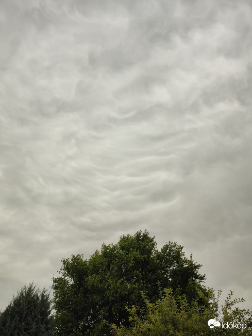 Mammatus