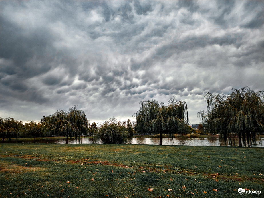 Mammák a város felett