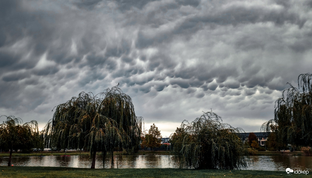 Mammák a város felett II