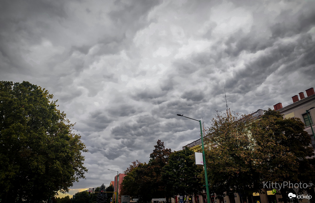 Mammák a város felett