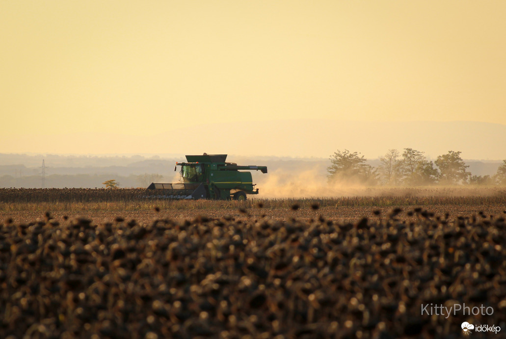 Aratás a naplementében III.