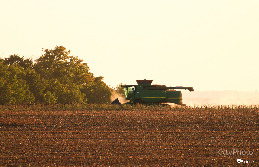 Aratás a naplementében IV.