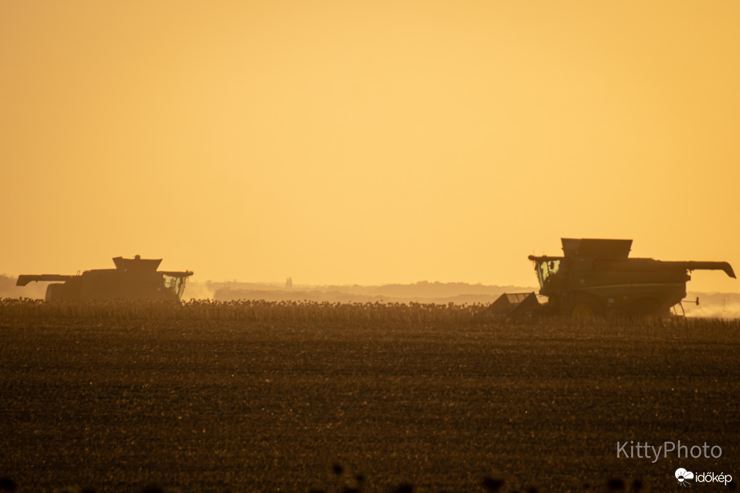 Aratás a naplementében II.