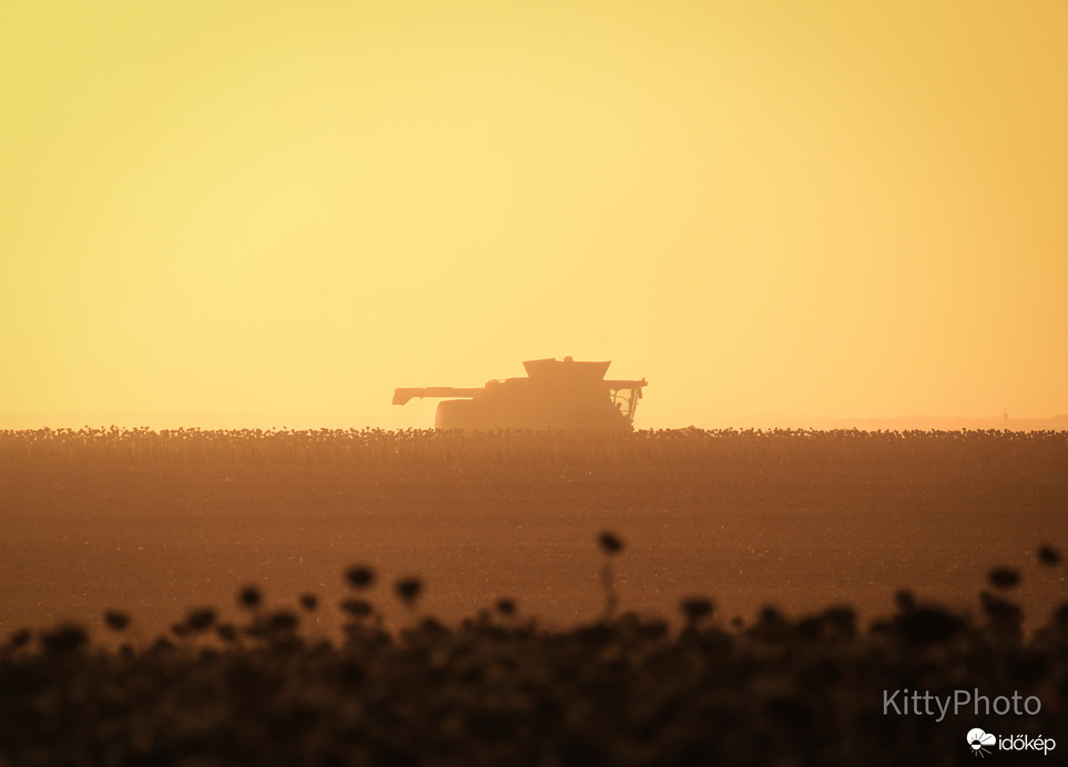 Aratás a naplementében I.