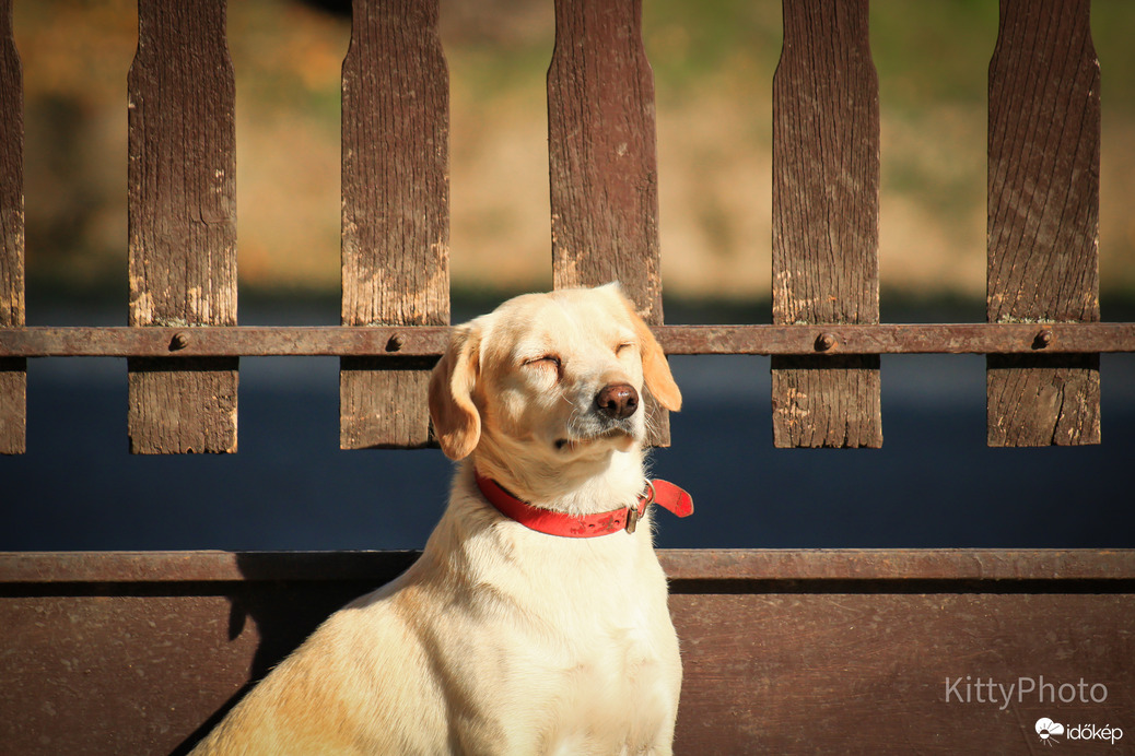 Nézd hogyan ragyog a nap