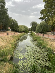 Tápióbicske