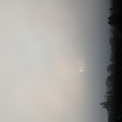 Majdnem sikerült tegnap...