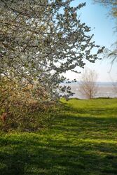 Balatonszemes