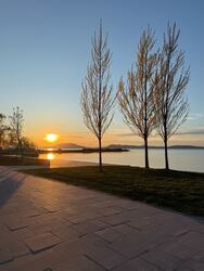 Balatonboglár