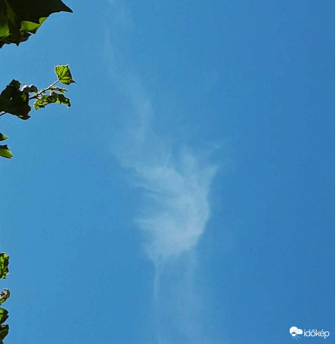 Angyal vagy tündér?