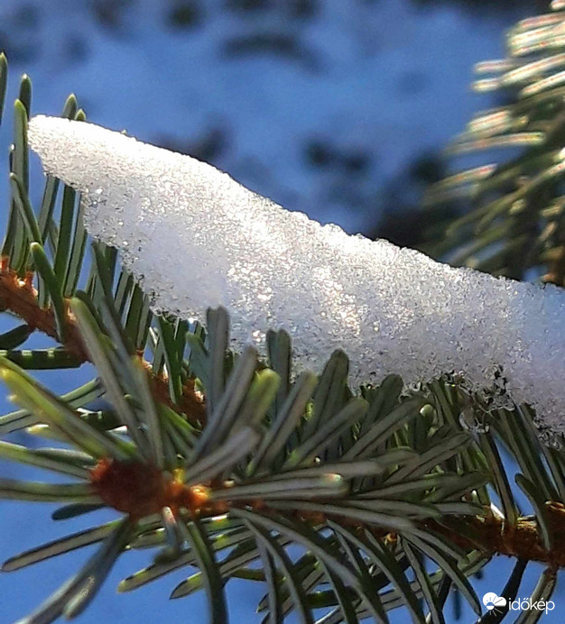 Jövő karácsonykor, veled, ugyanitt