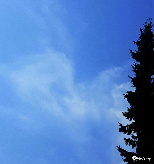 Ügyeletes őrangyal