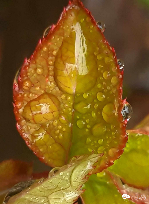 Egész nap esik. Lehet szeretgetni a családot! 