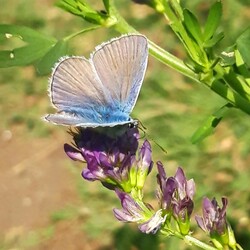 klaramora fotója