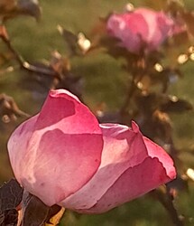 Budapest, Kossuth tér