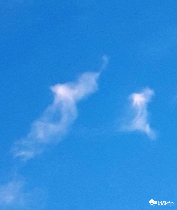 MUNKÁBAN A VARÁZSLÓ