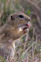 Ez nagyon finom volt!