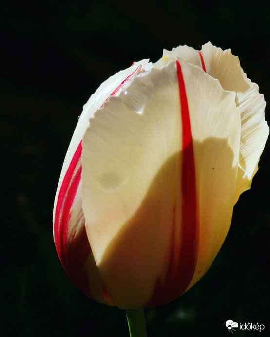 Szépség a sötétben