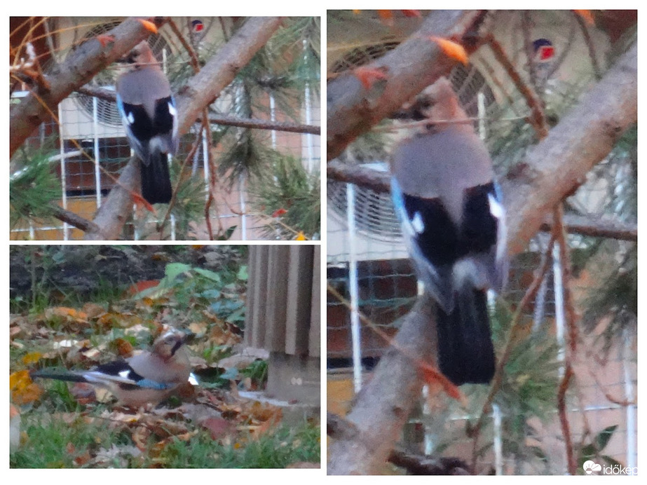 Örülök neki. bár  a fotó vaacak lett