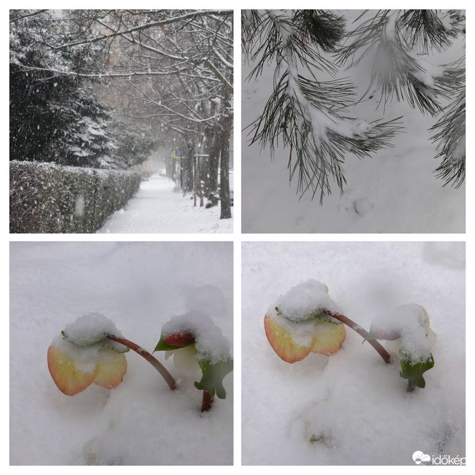 pár mapja még a hó alarr