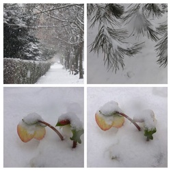 pár mapja még a hó alarr