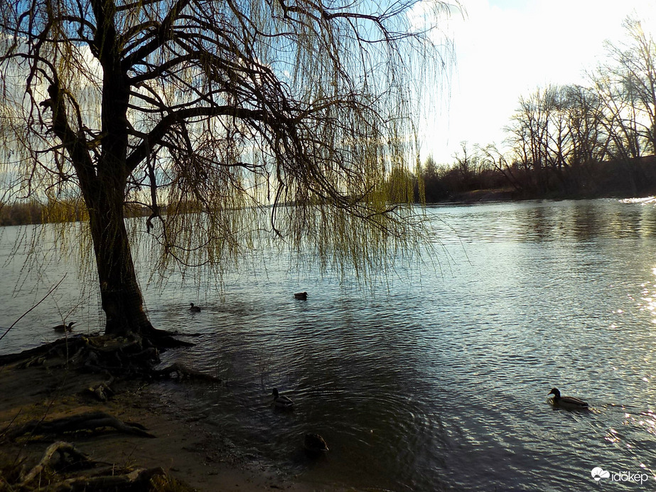 vízállás Duna Febr.20.