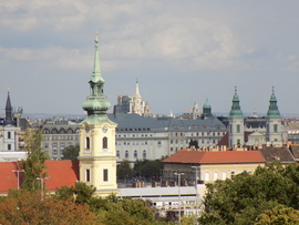 kmo fotója
