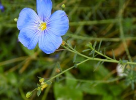 egy az utolsók közül nov.2.