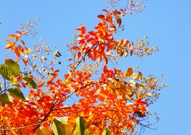 tiszta égbolt délidőben