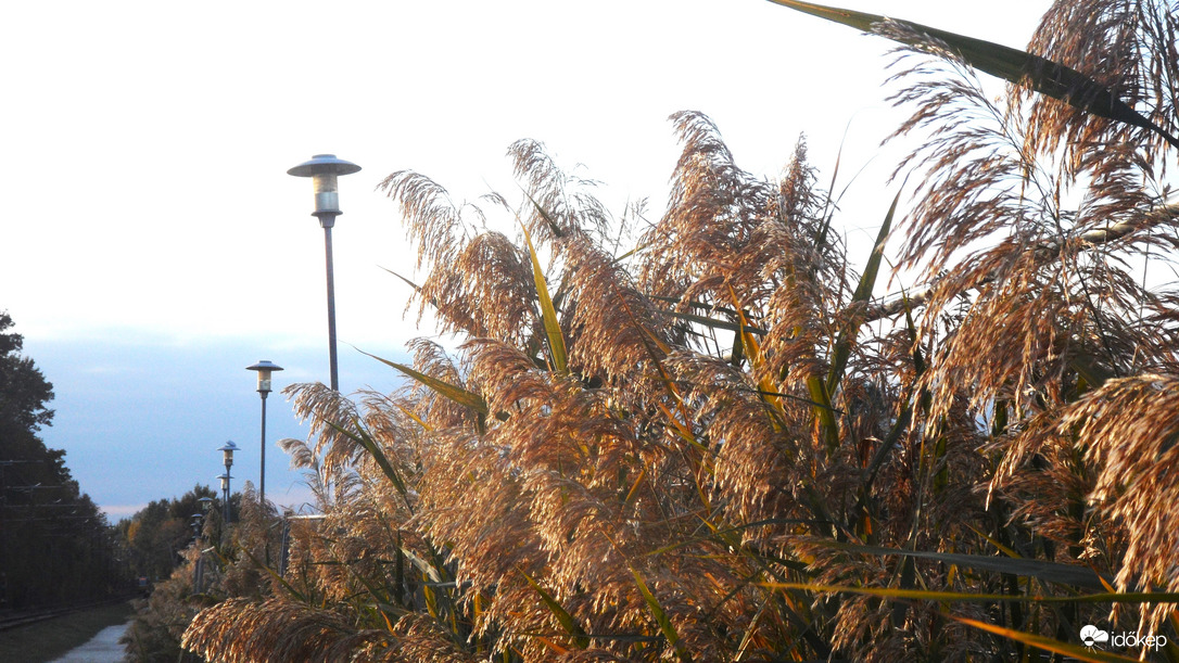 az utolsó sugarakban