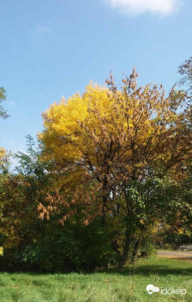Hegyeshalom délután