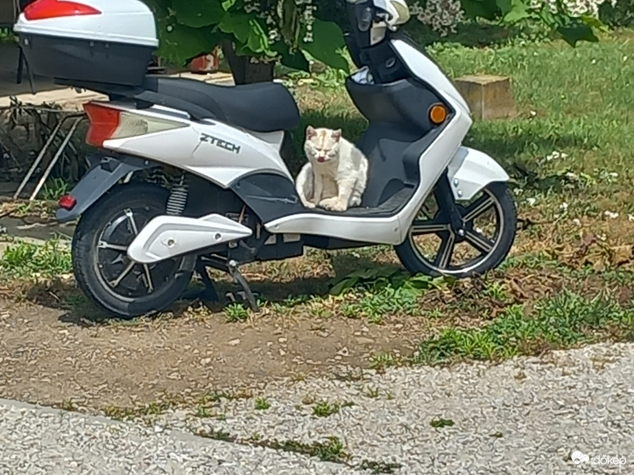 Pusztahencse