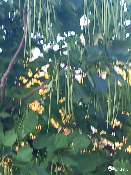 Nagydorog