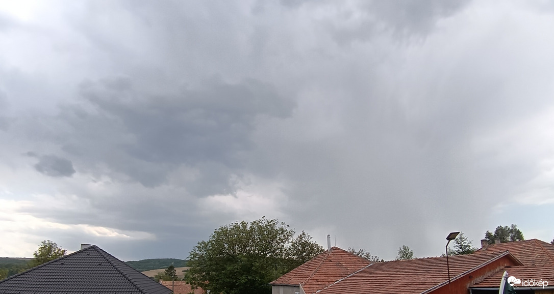 Sárisáp