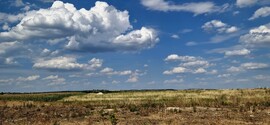 Maglód