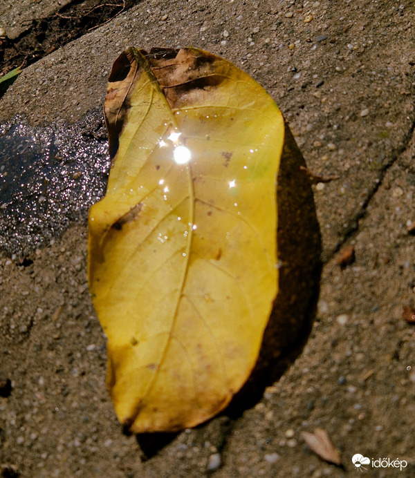 Gyömrő