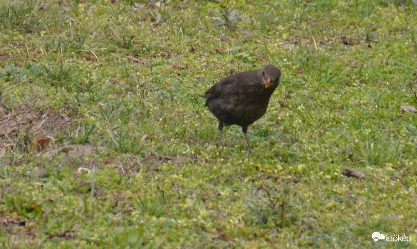 Hű! Van ott valami! :-)