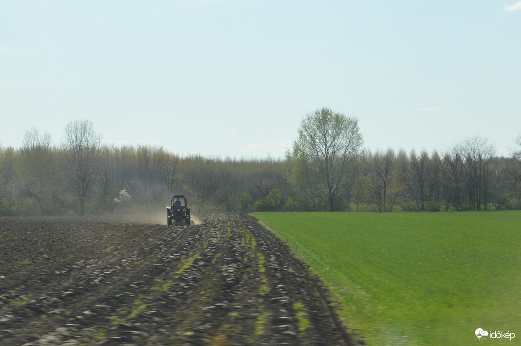 Tavaszi munkálatok