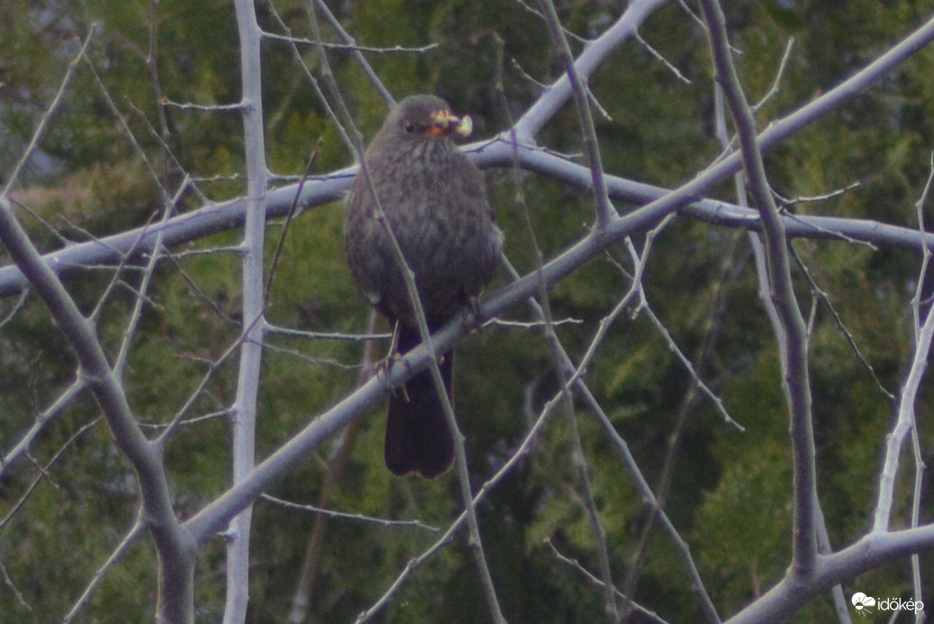 Én is ügyes vagyok! :-)