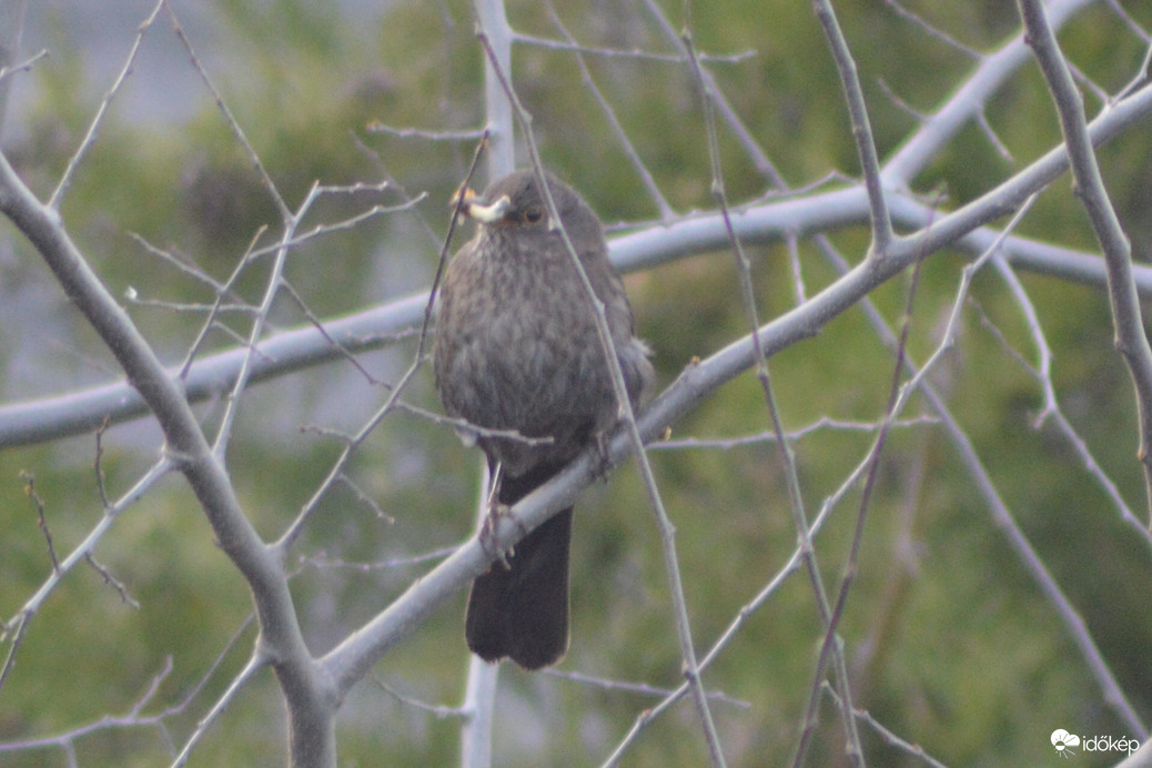 Én is ügyes vagyok! :-)
