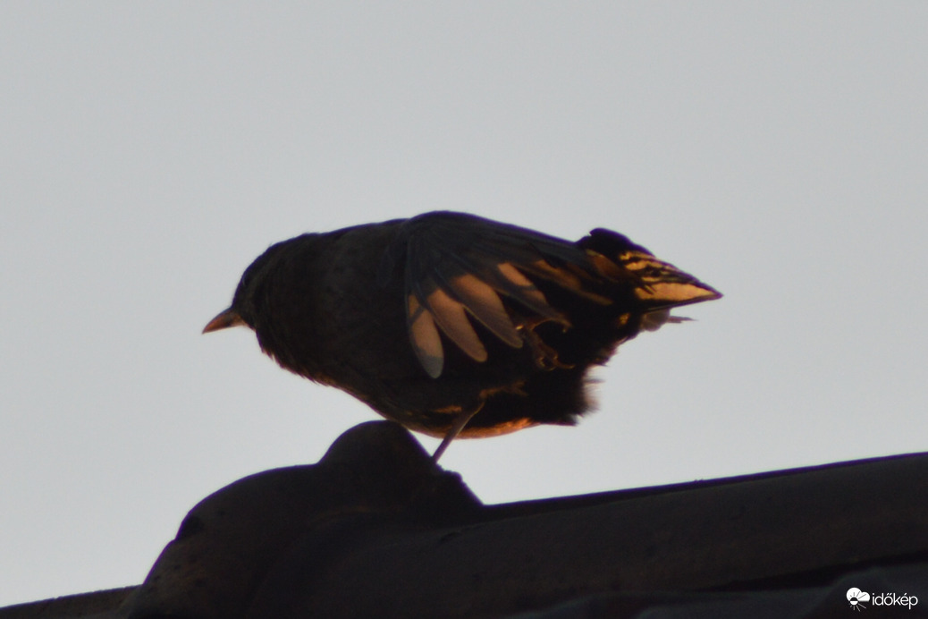 Fél lábbal is megy nekem! :-)