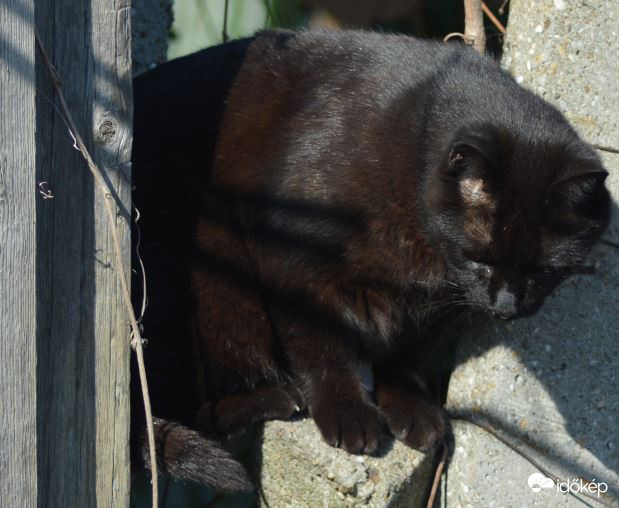 Lebuktam, hogy a szomszédból jövök haza :-))