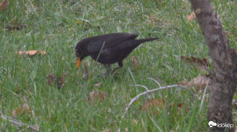 Mintha lenne ott valami! :-)