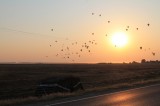 Ballon-v 