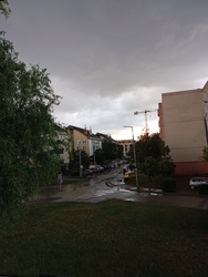 Kormos2