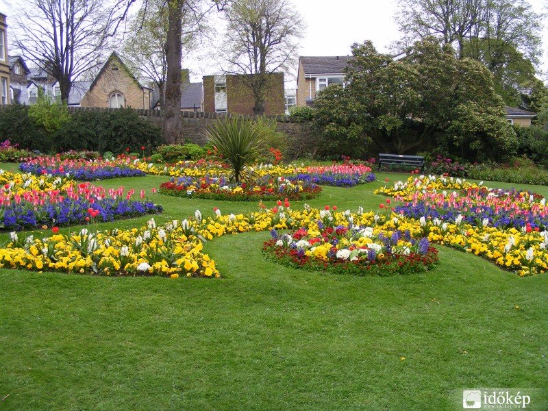 a botanikus kertben már igazi tavasz van