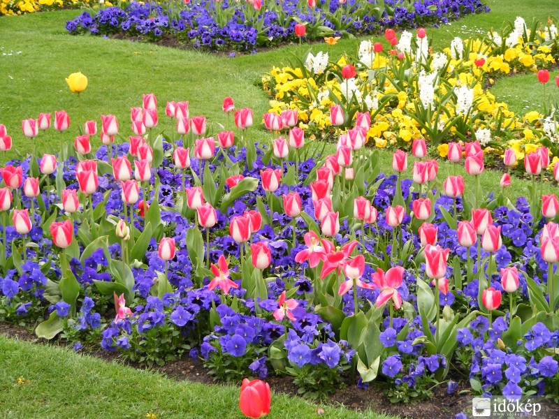 a botanikus kertben már igazi tavasz van