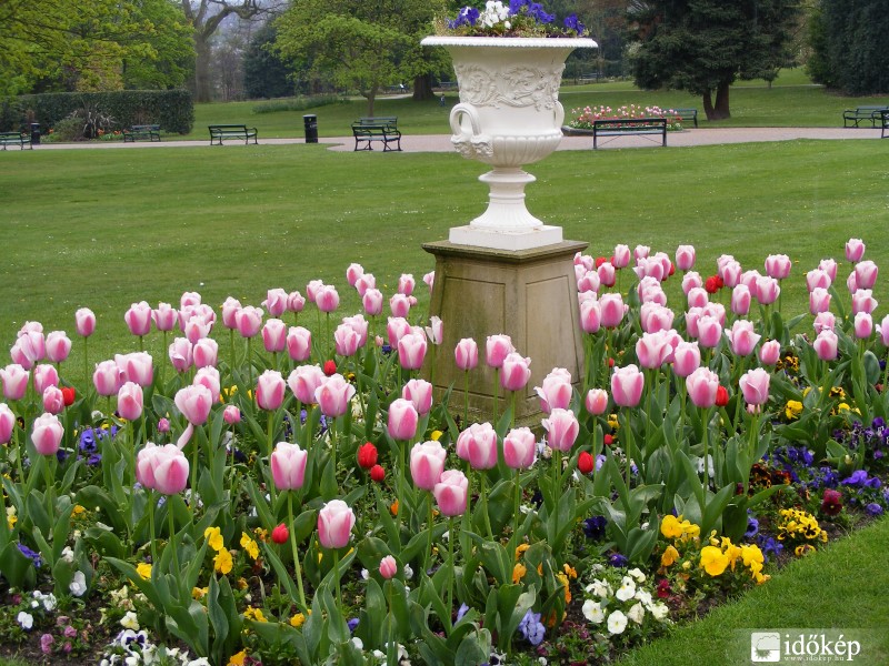 a botanikus kertben már igazi tavasz van